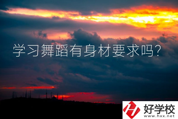 懷化有可以學(xué)習(xí)舞蹈的中專學(xué)校嗎？有身材要求嗎？