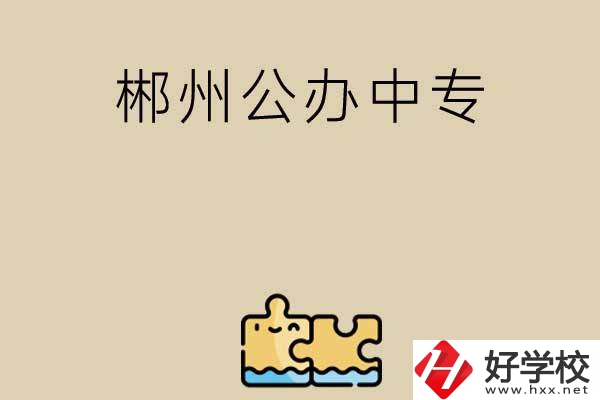 郴州公辦中專有哪些開設(shè)了電子商務(wù)專業(yè)？