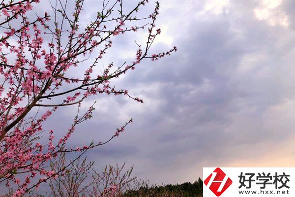邵陽市瀟湘中等職業(yè)技術(shù)學(xué)校怎么樣？收費(fèi)標(biāo)準(zhǔn)如何？