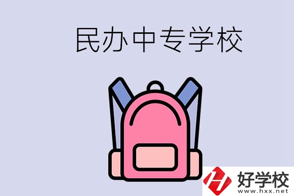 益陽的民辦中專學(xué)校有多少所？辦學(xué)怎么樣？