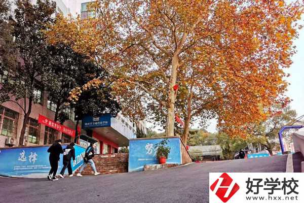 湖南省交通科技職業(yè)中等專業(yè)學校的招生要求有哪些？
