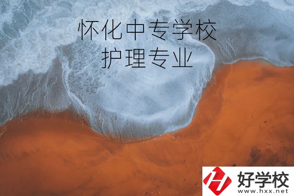 懷化有學護理專業(yè)的中專學校嗎？