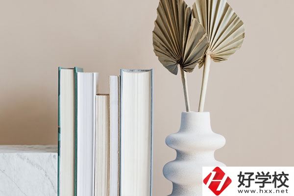 懷化職業(yè)技術學院(中職部)好不好，值得選擇嗎？