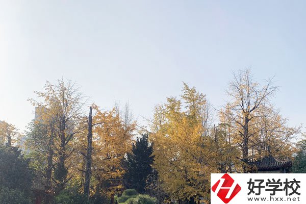 湘潭縣就業(yè)職業(yè)技術(shù)學(xué)校有哪些專業(yè)？就業(yè)前景怎么樣？