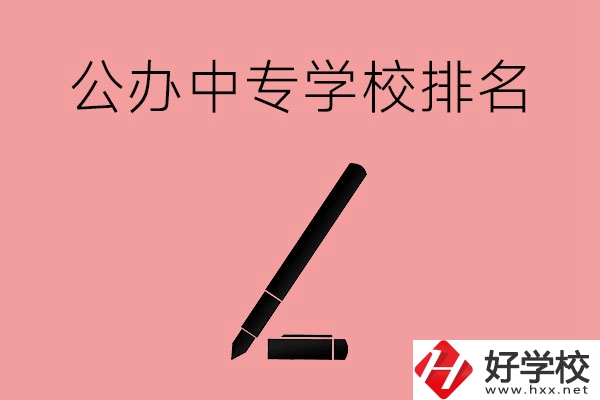 婁底哪些公辦中專學校排名比較靠前？