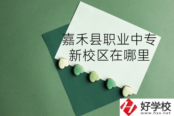 嘉禾縣職業(yè)中專怎么樣？新校區(qū)在哪里？