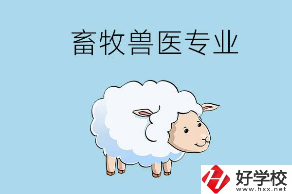 畜牧獸醫(yī)專業(yè)好就業(yè)嗎？湖南哪些技校開設(shè)了該專業(yè)？