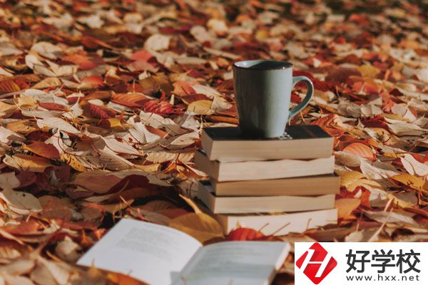 中方縣職業(yè)中等專業(yè)學校有什么專業(yè)？好不好？