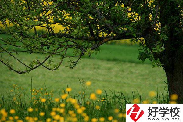 在邵陽(yáng)讀中職有前途嗎？如何選擇學(xué)校呢？