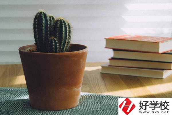 桃江縣職業(yè)中專學校辦學條件怎么樣？有哪些特色？