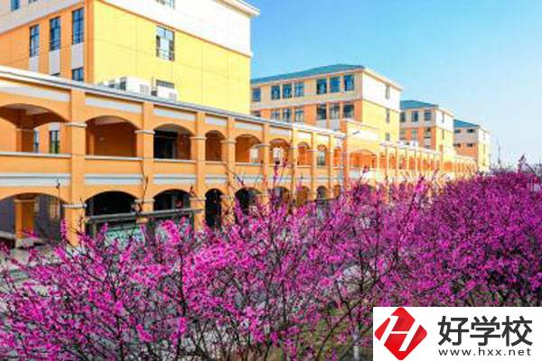 湖南省隆回縣職業(yè)中等專業(yè)學校有哪些辦學特色？