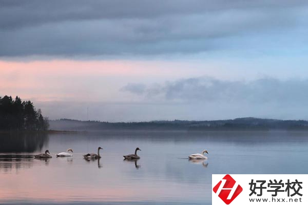 湖南有色金屬中專學(xué)校有哪些專業(yè)？就業(yè)方向如何？