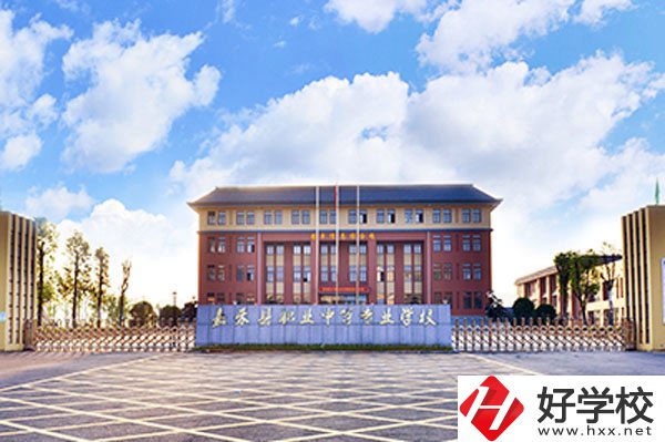 嘉禾縣職業(yè)中等專業(yè)學校實力如何？
