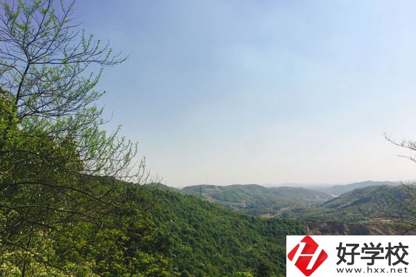 株洲人工智能職業(yè)技術學校哪個專業(yè)更好？