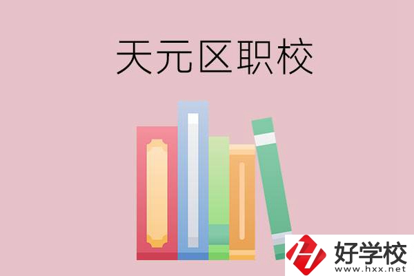 株洲市天元區(qū)的職校有哪幾所？