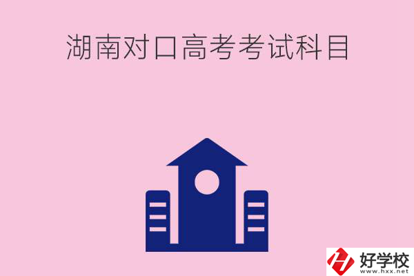 湖南中職生對口高考考試科目都有哪些？考試難不難？