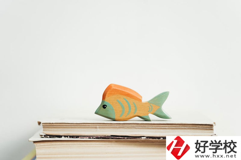 長(zhǎng)沙市英藍(lán)中等職業(yè)學(xué)校學(xué)費(fèi)多少？貴不貴？