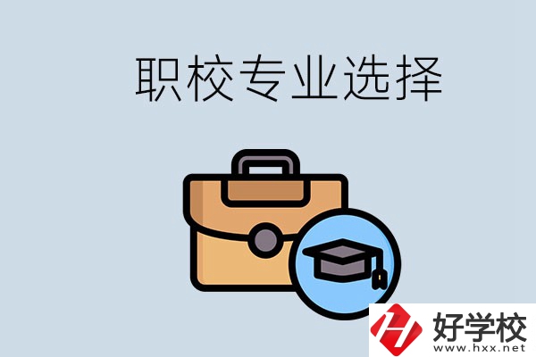 株洲的職校中有哪些專業(yè)可以學(xué)習(xí)？