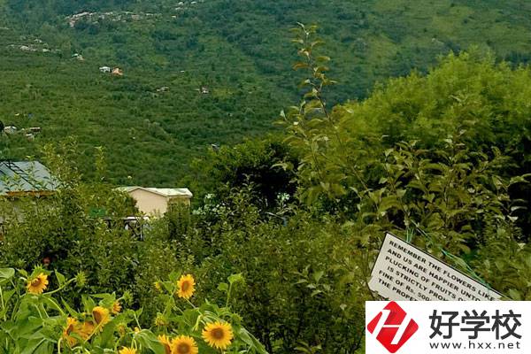 長沙公辦中職學(xué)校好不好？都有哪些學(xué)校？