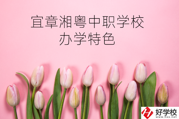 宜章湘粵中職學(xué)校在哪？有什么辦學(xué)特色？