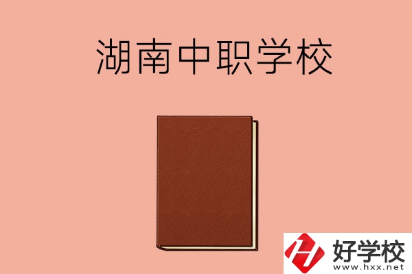 湖南有哪些就業(yè)率比較高的中職學(xué)校？