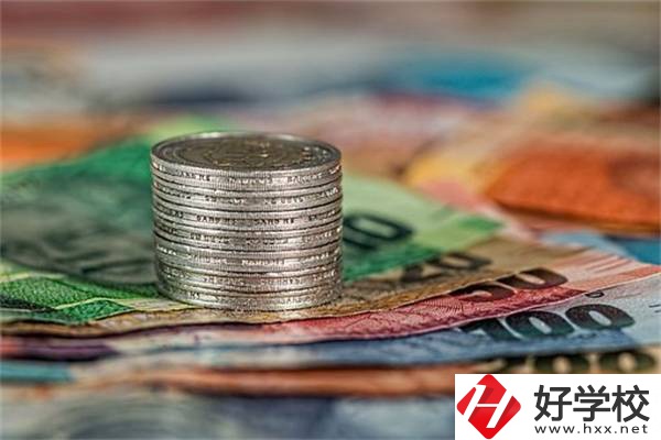 湖南職校會(huì)計(jì)電算化專業(yè)怎么樣？就業(yè)前景好不好？