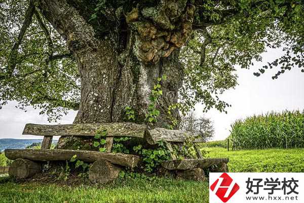 湖南特教中等專業(yè)學(xué)校有哪些特色專業(yè)？有資助政策嗎？