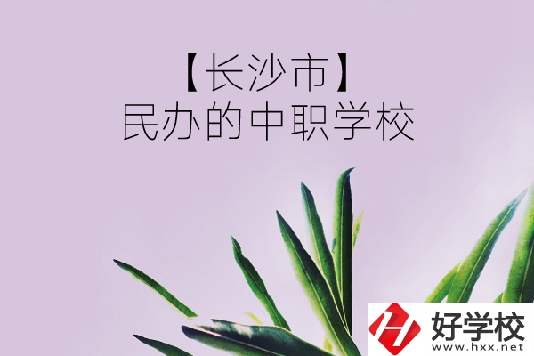 長沙市有哪些民辦的中職學校？