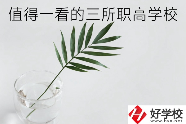 湖南有什么好的職高學(xué)校？這3所學(xué)校值得一看！