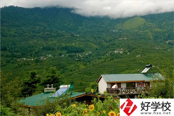 益陽大誠(chéng)職業(yè)學(xué)校的專業(yè)怎么樣？就業(yè)方向如何？