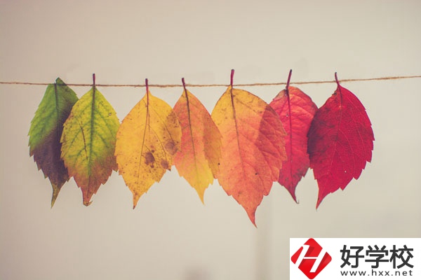 長沙益立中等職業(yè)學校有哪些特色專業(yè)？