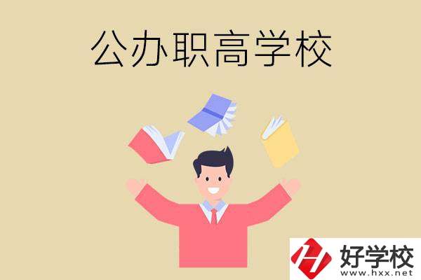 婁底公辦的職高學(xué)校有幾所？