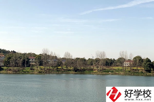 雙峰縣職業(yè)中專學校有哪些招生專業(yè)？