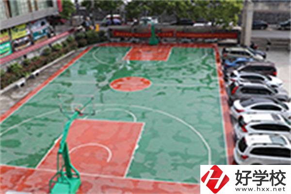 龍山縣技工學?；@球場
