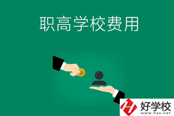 上懷化的公立職高學(xué)校要多少費(fèi)用？
