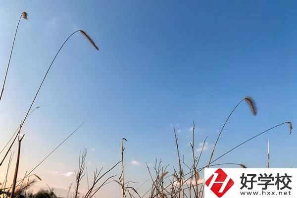 邵陽市護(hù)理職校是一所怎樣的學(xué)校？