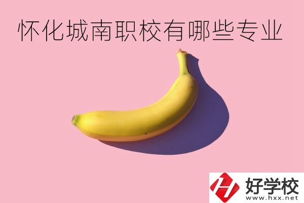 懷化城南職業(yè)學(xué)校有哪些專業(yè)？學(xué)校好不好？