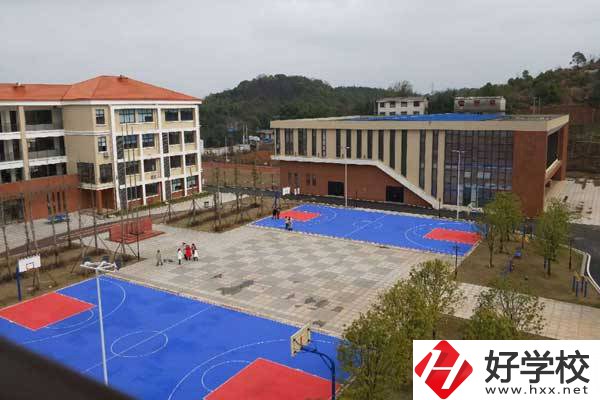 株洲市特殊教育學(xué)校是所怎樣的學(xué)校?有哪些榮譽(yù)？