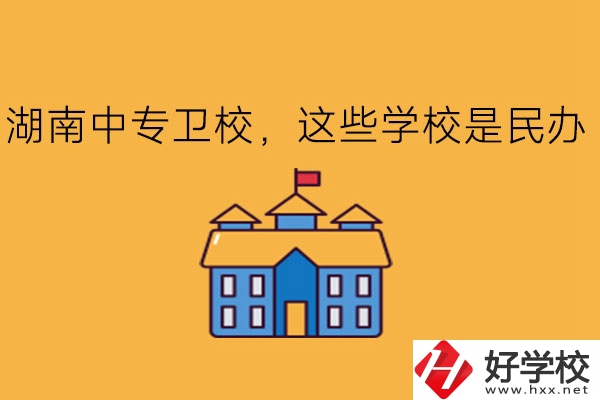 湖南中專衛(wèi)校，這些學(xué)校是民辦!