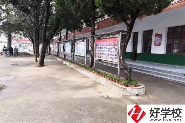岳陽有沒有升學(xué)率高的民辦職高？職高能升學(xué)是真的嗎？