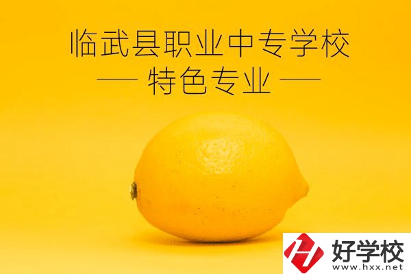 臨武縣職業(yè)中專(zhuān)學(xué)校好嗎？有哪些特色專(zhuān)業(yè)？