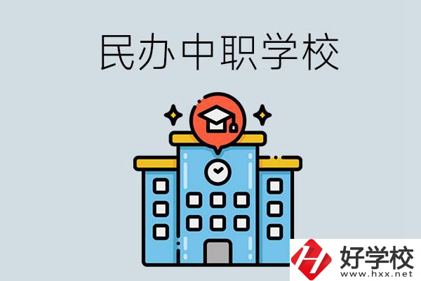 婁底新化縣的民辦中職學(xué)校一共有多少所？