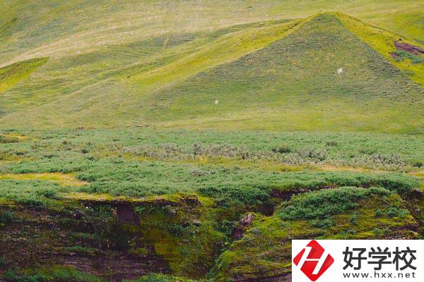 湖南衡南職業(yè)中等專業(yè)學(xué)校好嗎？學(xué)校有什么優(yōu)勢(shì)？