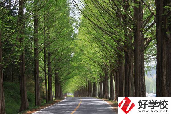 張家界的公辦中職學(xué)校有哪些？