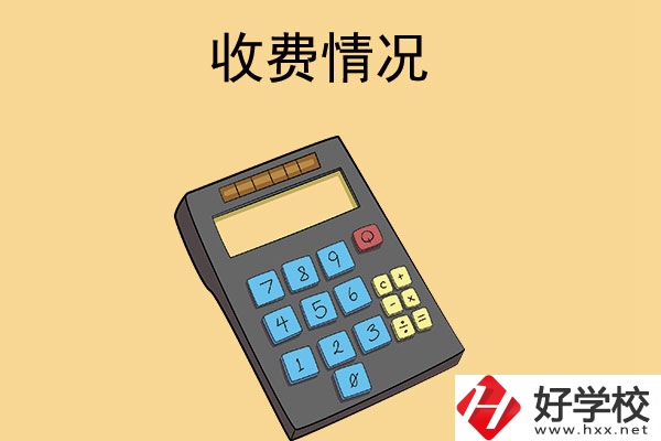 長(zhǎng)沙的中專學(xué)校收費(fèi)情況怎么樣？