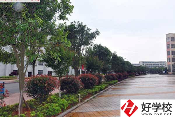 長(zhǎng)沙市電子工業(yè)學(xué)校開設(shè)了哪些專業(yè)，附招生要求？