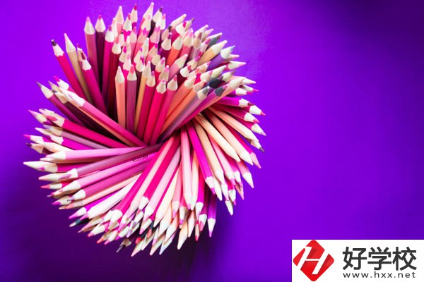在懷化有什么職校可以學習幼師？好不好？