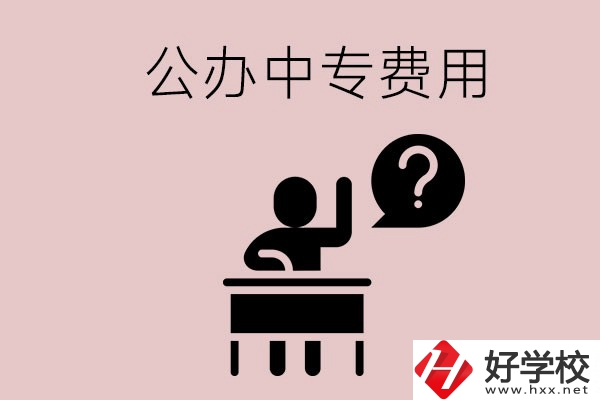 長(zhǎng)沙中專哪所學(xué)校費(fèi)用少一點(diǎn)？首選這兩所公辦學(xué)校！
