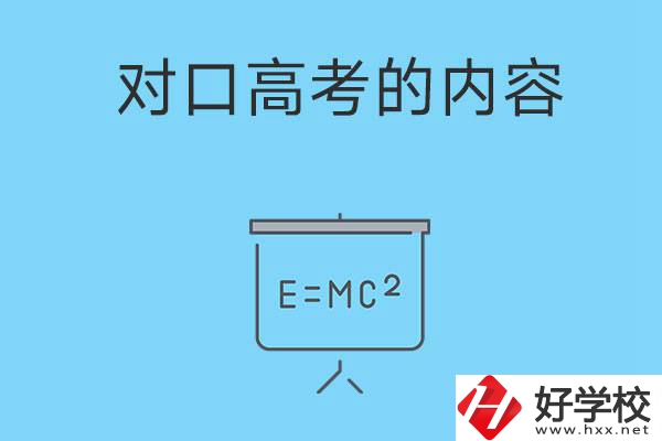 湖南職高對(duì)口高考主要考什么內(nèi)容？難度大不大？