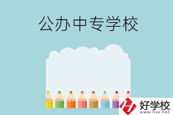湖南地區(qū)有哪些公辦的中專(zhuān)學(xué)?？梢酝扑]呢？